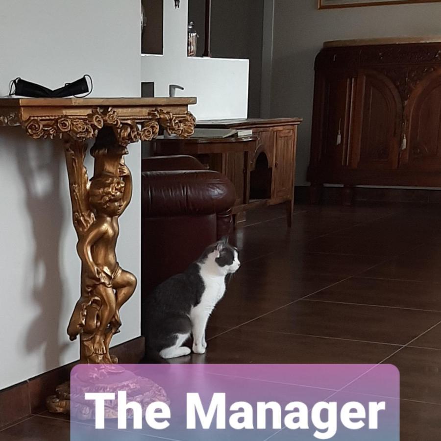 B&B La Fenice Sul Lago Villongo Bagian luar foto